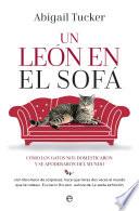 Un león en el sofá